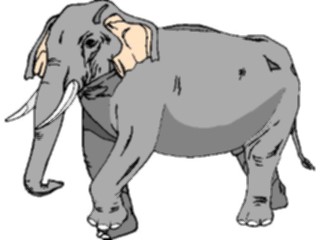 Sticker Custom Preview Image #024531 Animals Land Animals Elephant05
