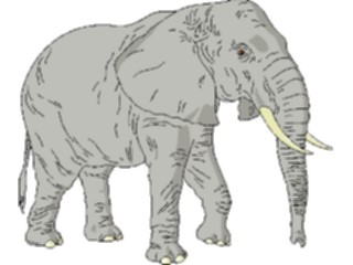 Sticker Custom Preview Image #024535 Animals Land Animals Elephant09