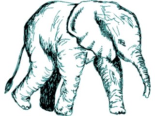 Sticker Custom Preview Image #024546 Animals Land Animals Elephant20