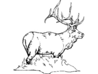 Sticker Custom Preview Image #024557 Animals Land Animals Elk1