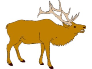 Sticker Custom Preview Image #024558 Animals Land Animals Elk2