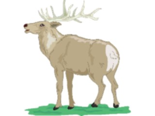Sticker Custom Preview Image #024559 Animals Land Animals Elk3