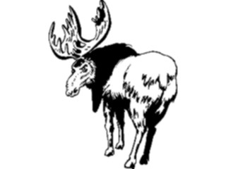 Sticker Custom Preview Image #024560 Animals Land Animals Elk4