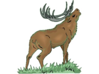 Sticker Custom Preview Image #024562 Animals Land Animals Elk6