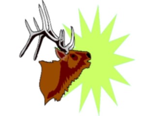 Sticker Custom Preview Image #024563 Animals Land Animals Elk7