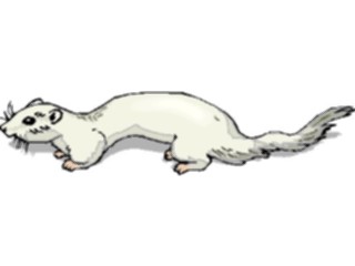 Sticker Custom Preview Image #024566 Animals Land Animals Ermine1