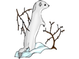 Sticker Custom Preview Image #024567 Animals Land Animals Ermine2