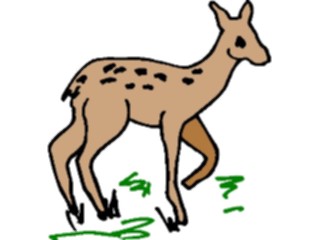 Sticker Custom Preview Image #024569 Animals Land Animals Fawn1