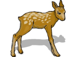 Sticker Custom Preview Image #024572 Animals Land Animals Fawn4