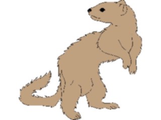Sticker Custom Preview Image #024575 Animals Land Animals Ferret1