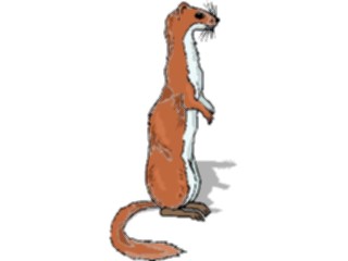 Sticker Custom Preview Image #024578 Animals Land Animals Ferret4