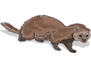 Sticker Custom Preview Image #024579 Animals Land Animals Ferret5