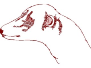 Sticker Custom Preview Image #024580 Animals Land Animals Ferret6