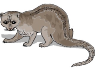 Sticker Custom Preview Image #024583 Animals Land Animals Fisher2