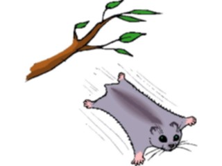 Sticker Custom Preview Image #024584 Animals Land Animals Flying Squirrel