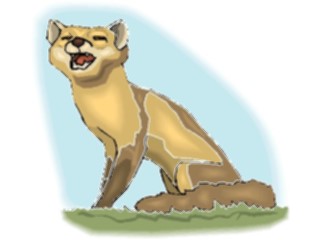 Sticker Custom Preview Image #024601 Animals Land Animals Fox17