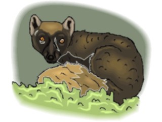 Sticker Custom Preview Image #024603 Animals Land Animals Fox19