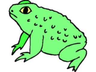 Sticker Custom Preview Image #024607 Animals Land Animals Frog02