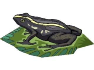 Sticker Custom Preview Image #024612 Animals Land Animals Frog07
