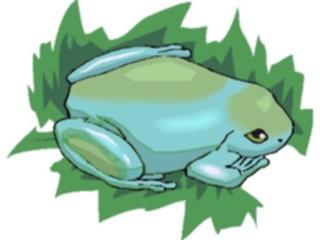 Sticker Custom Preview Image #024614 Animals Land Animals Frog09