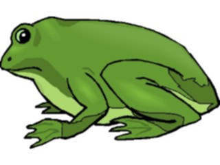 Sticker Custom Preview Image #024615 Animals Land Animals Frog10