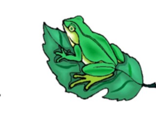 Sticker Custom Preview Image #024616 Animals Land Animals Frog11