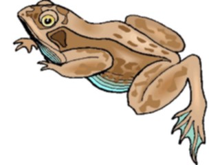 Sticker Custom Preview Image #024617 Animals Land Animals Frog12