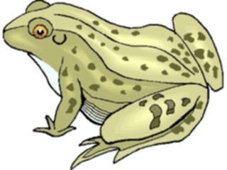 Sticker Custom Preview Image #024618 Animals Land Animals Frog13