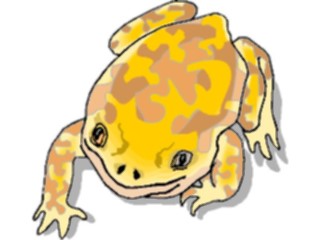 Sticker Custom Preview Image #024620 Animals Land Animals Frog15