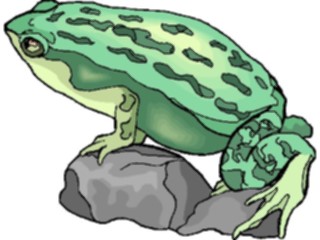 Sticker Custom Preview Image #024622 Animals Land Animals Frog17