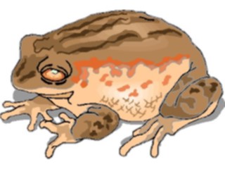 Sticker Custom Preview Image #024623 Animals Land Animals Frog18