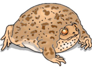 Sticker Custom Preview Image #024626 Animals Land Animals Frog21