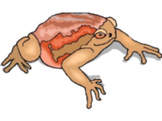 Sticker Custom Preview Image #024627 Animals Land Animals Frog22