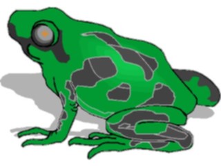 Sticker Custom Preview Image #024629 Animals Land Animals Frog24