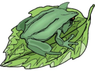 Sticker Custom Preview Image #024632 Animals Land Animals Frog27