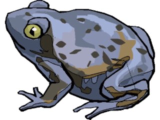 Sticker Custom Preview Image #024636 Animals Land Animals Frog31