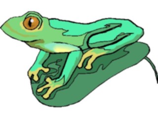 Sticker Custom Preview Image #024637 Animals Land Animals Frog32