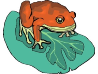 Sticker Custom Preview Image #024639 Animals Land Animals Frog34