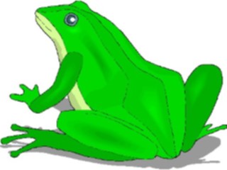 Sticker Custom Preview Image #024640 Animals Land Animals Frog35