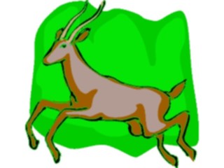 Sticker Custom Preview Image #024646 Animals Land Animals Gazelle1