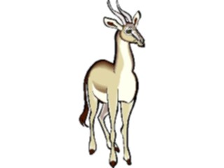 Sticker Custom Preview Image #024647 Animals Land Animals Gazelle2
