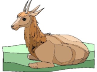 Sticker Custom Preview Image #024649 Animals Land Animals Gazelle4