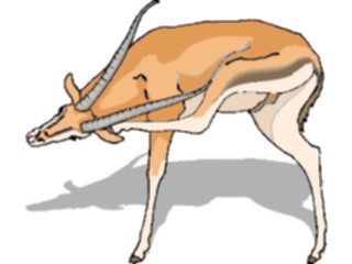 Sticker Custom Preview Image #024650 Animals Land Animals Gazelle5