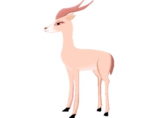 Sticker Custom Preview Image #024653 Animals Land Animals Gazelle8