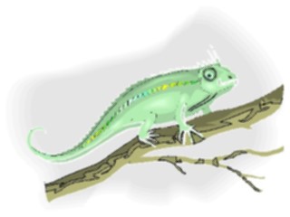 Sticker Custom Preview Image #024655 Animals Land Animals Gecko1
