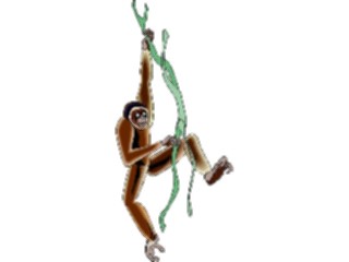 Sticker Custom Preview Image #024661 Animals Land Animals Gibbon2