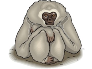 Sticker Custom Preview Image #024662 Animals Land Animals Gibbon3