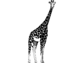 Sticker Custom Preview Image #024664 Animals Land Animals Giraffe01