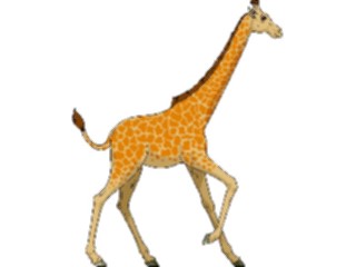Sticker Custom Preview Image #024668 Animals Land Animals Giraffe05