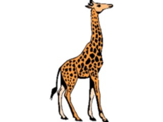 Sticker Custom Preview Image #024669 Animals Land Animals Giraffe06
